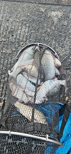 wx_camera_1690233464452.jpg