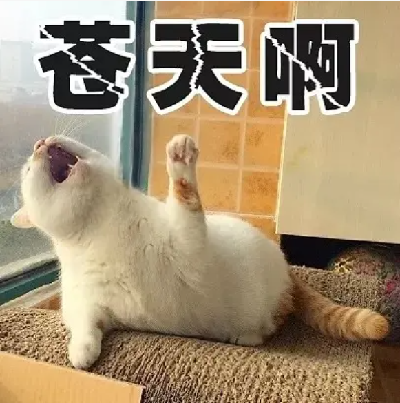 찡.png