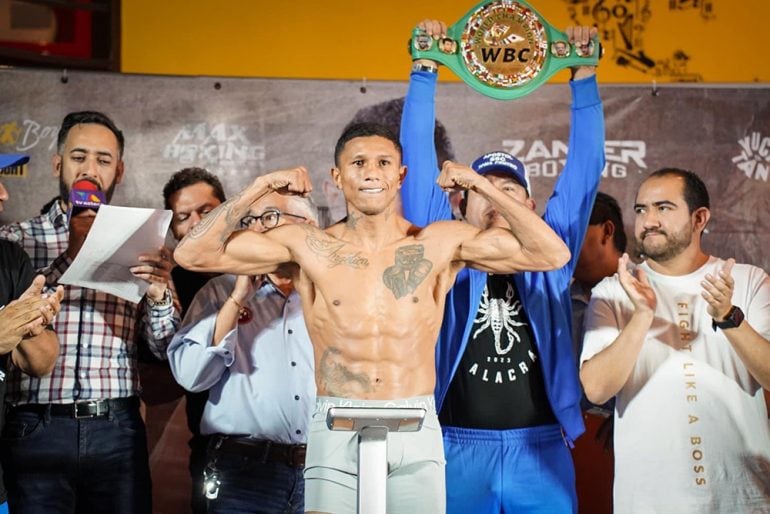 miguel-berchelt_x-@AlacranBerchelt-770x514.jpg