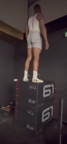 338d77458869164f.jpg