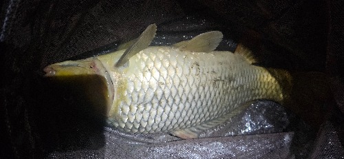 20240813_223736.jpg