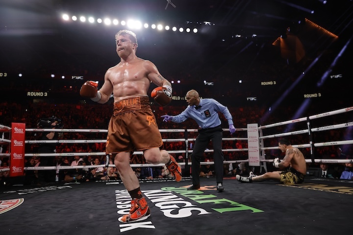 CaneloAlvarez_EdgarBerlangafight.jpg