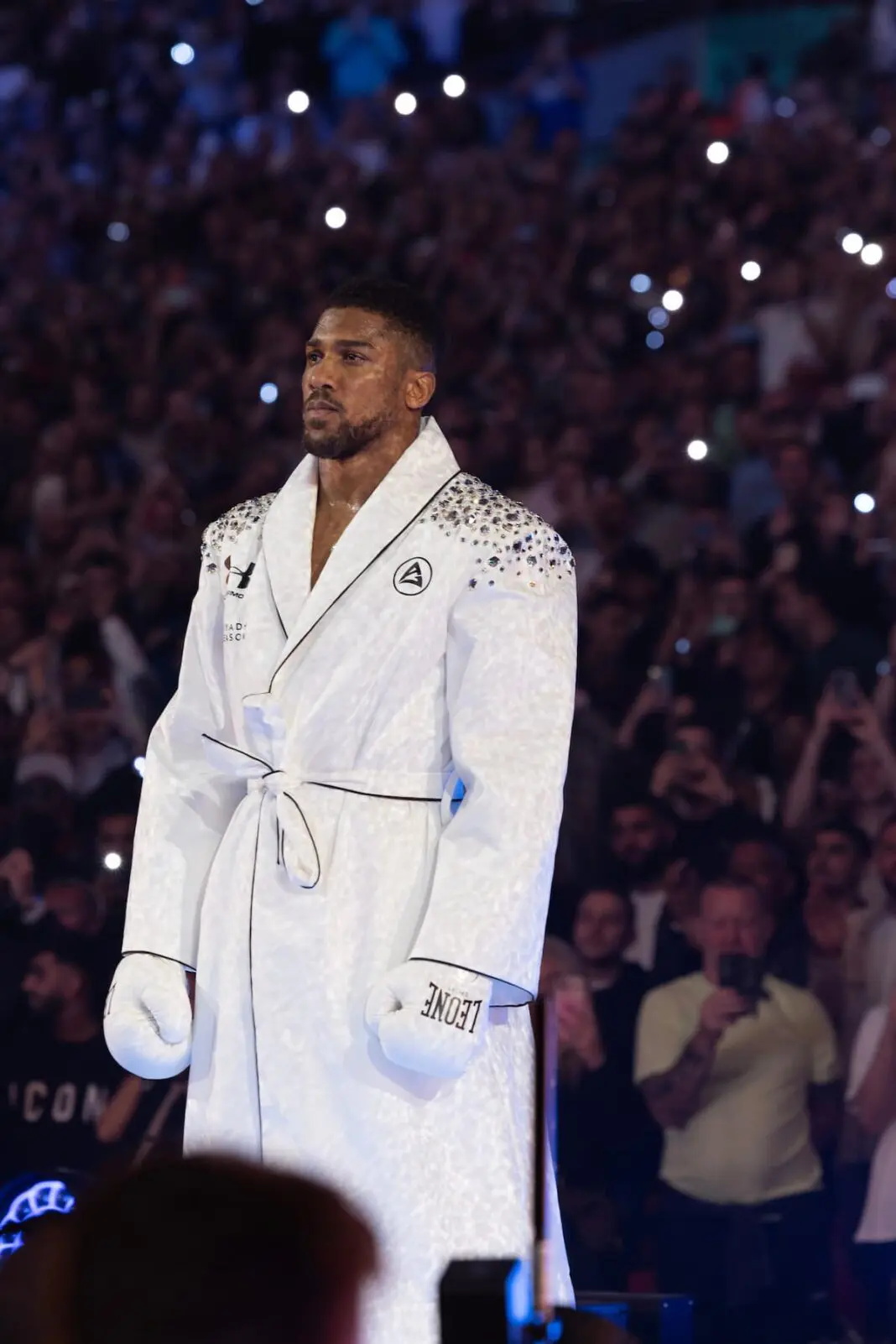 anthony-joshua-ringwalk-1068x1602.jpg_ͼ.jpg