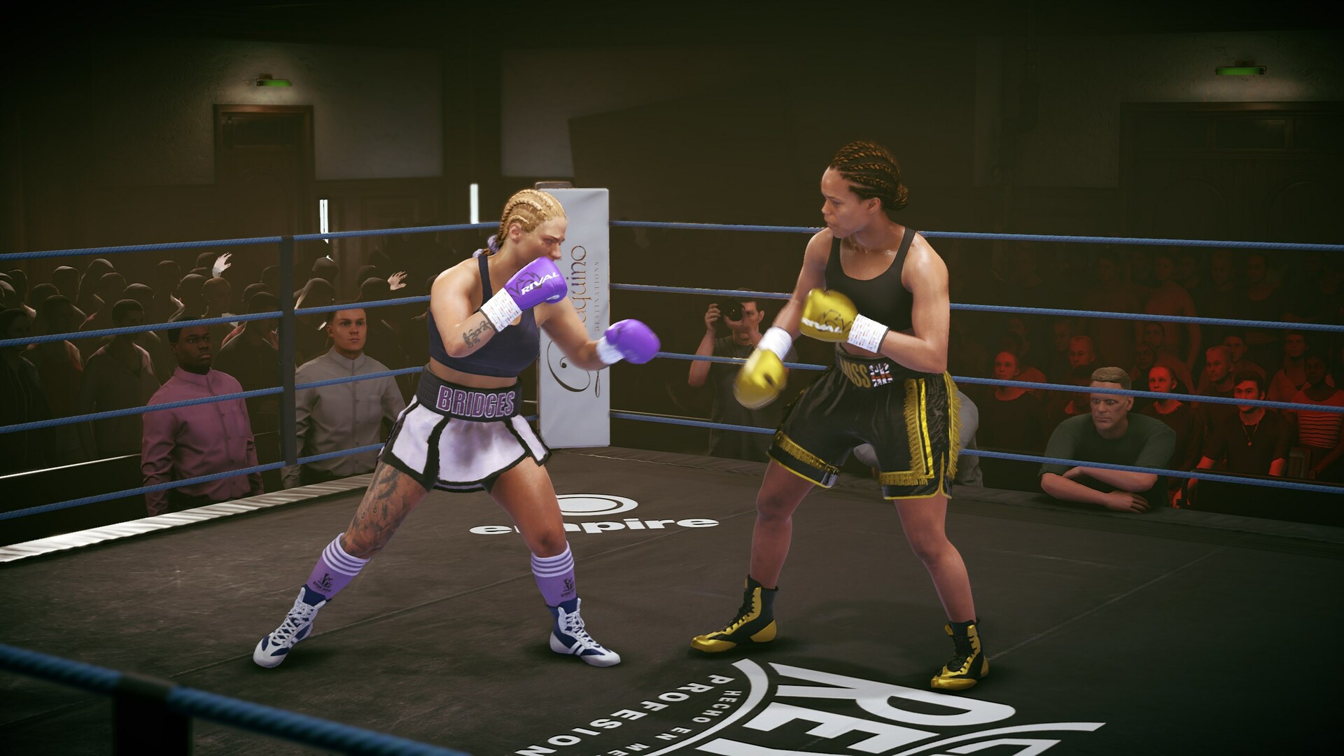 undisputed-boxing-women.jpg