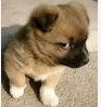 1729673400932(1).png