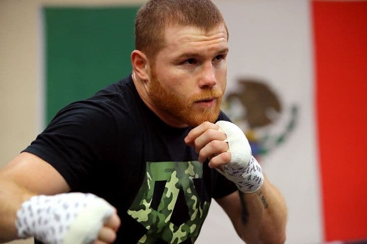 canelo_alvarez_22_2_324435cd3e.jpg