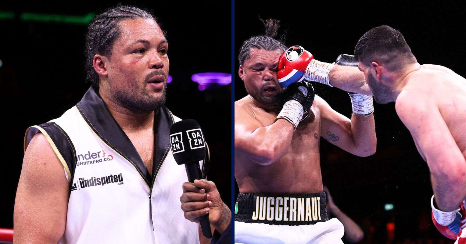 Joyce-vs-Hrgovic.jpg