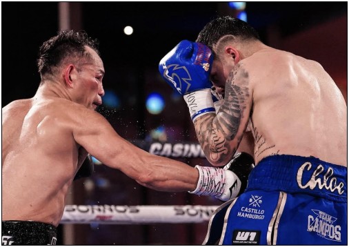 donaire-campos.fn.02.550w.jpg
