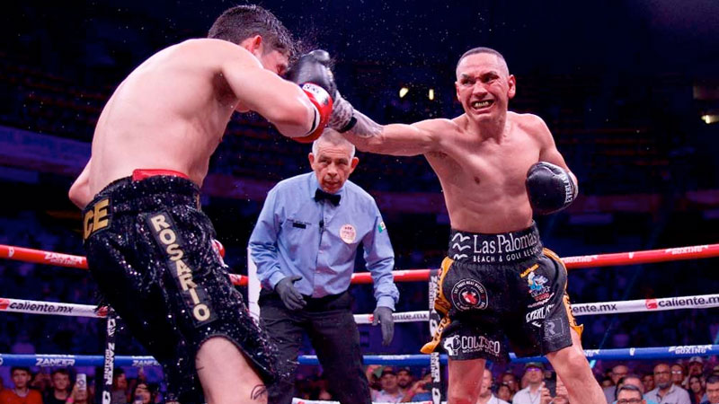 gallo-estarda-fight.jpg