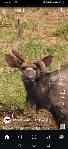 Screenshot_20250724_083539_com.instagram.android.jpg