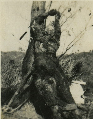 d7b6d8.jpg