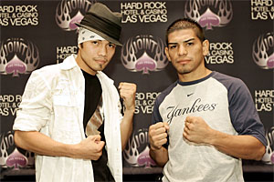 20090812torito001.jpg