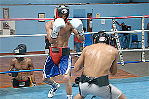 20090806eltorito003.jpg
