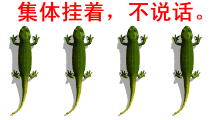 1226322194B0163W4.gif