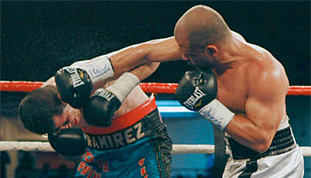 cottowins2.jpg