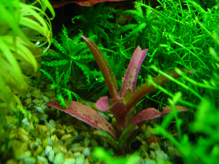 2009 09 19 007.jpg