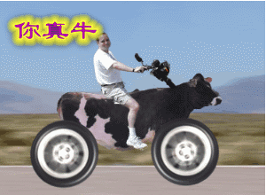 ϸg.gif