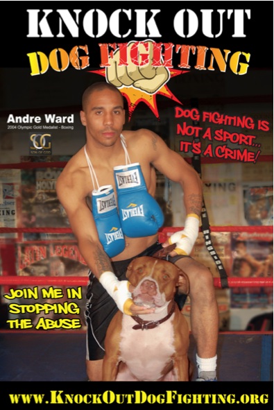 ward_dog.jpg