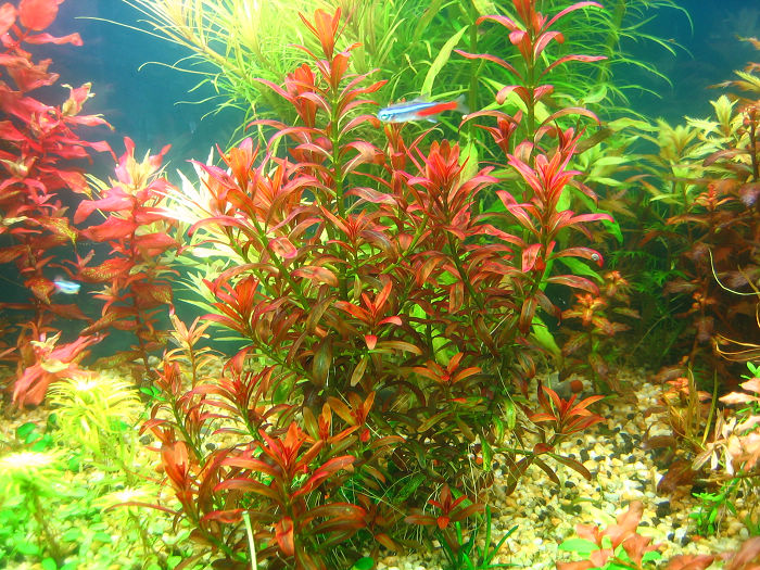 2009 11 18 002.jpg