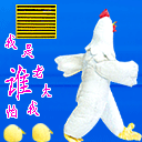 51606.gif