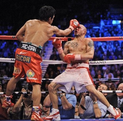 pac%20cotto%201%20AP1.jpg
