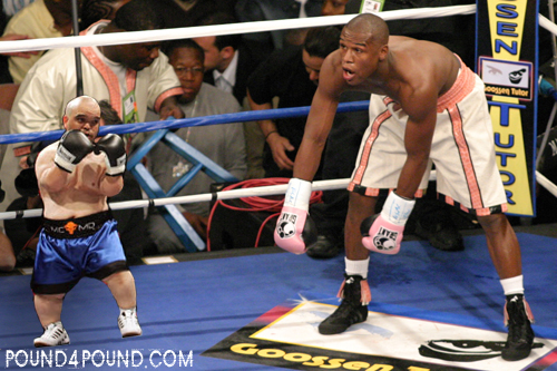 MayweathervMidget.jpg