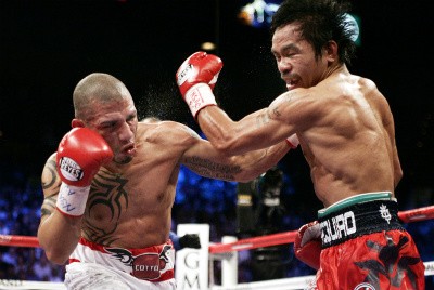 100121223310Cotto_back.jpg