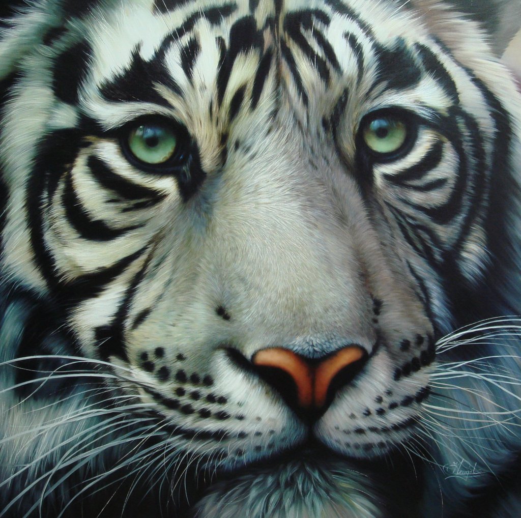 white_tiger_2_by_Raipun.jpg