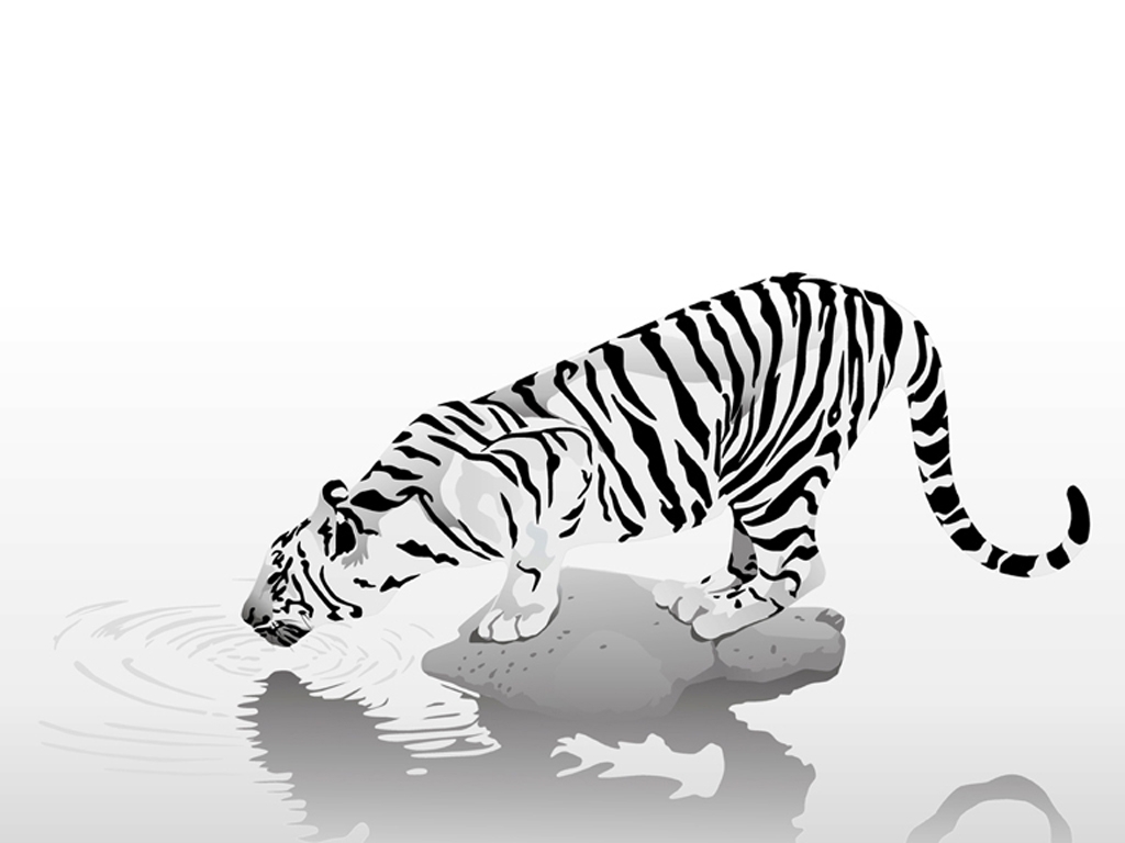 WhiteTiger1024x768.jpg