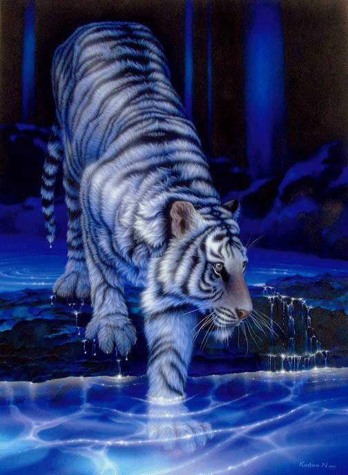white_tiger.jpg
