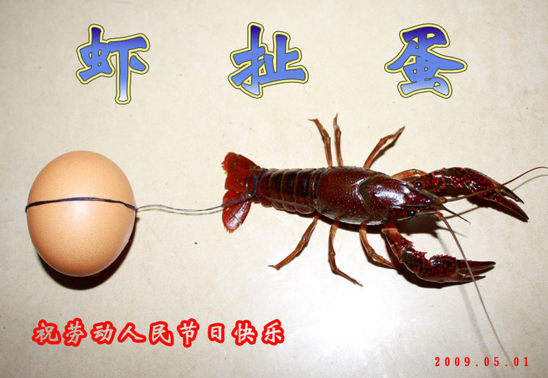 a3837762_s.jpg
