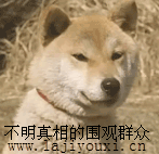 p_large_39wp_7d6c00039fc12d10.gif