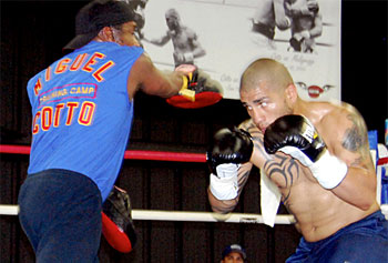 cotto_tampa.jpg