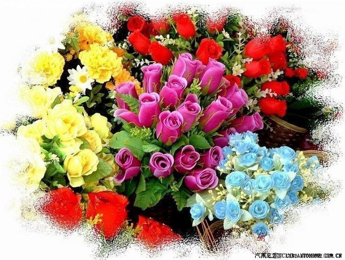 500_b15d4982-e5a9-4503-9ebc-cbe7bee65586.jpg