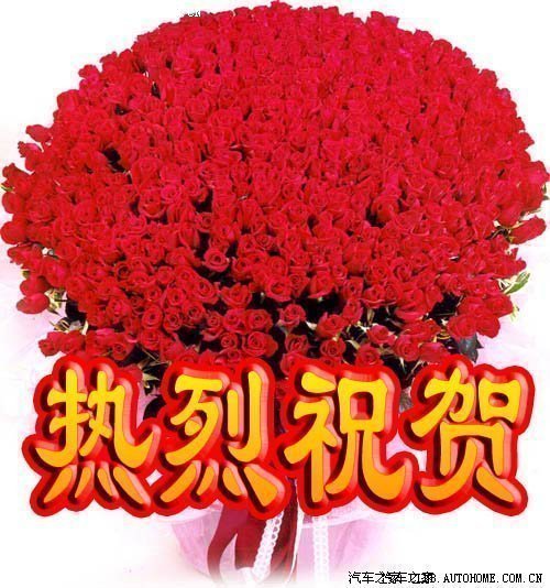 500_532ef68f-82ae-4d7e-a193-a38807a01f05.jpg